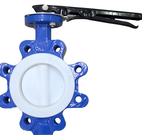 MS PTFE Butterfly Valve in UK