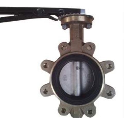 PTFE Lined Bronze Lug Type Butterfly Valve in UK